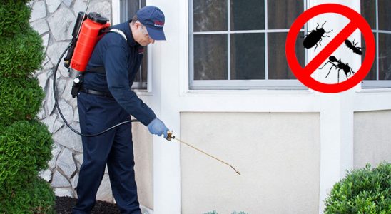 Hekimhan Bit İlaçlama böcek ilaçlama ve haşere kontrolü — ilaclama-tr.com